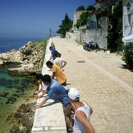 Angelo D'oro Monte *