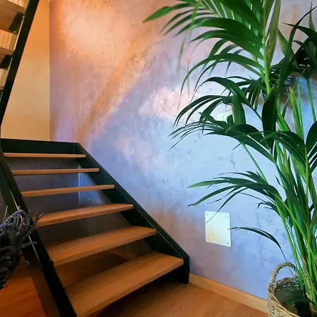 Angelo D'oro Monte Apartment Rovinj
