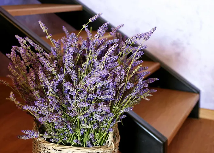 Dimore Apartment Monte