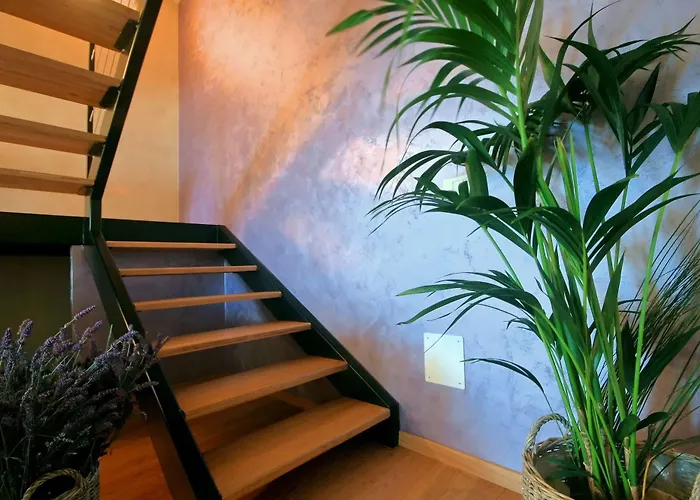 Dimore Apartment Monte Lejlighed Rovinj